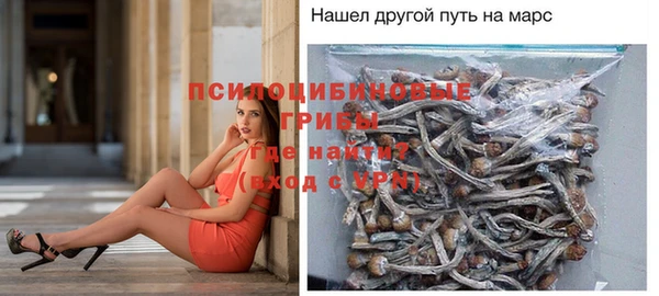 Альфа ПВП Абаза